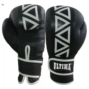 BOXING GLOVES 2019-2019-4-6
