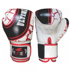 BOXING GLOVES 2019-2019-8